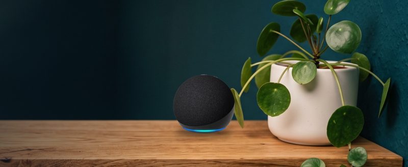 Echo Dot on the shelf at real size